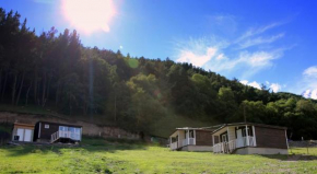 Forest Cabins